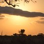 Zuid-Afrika